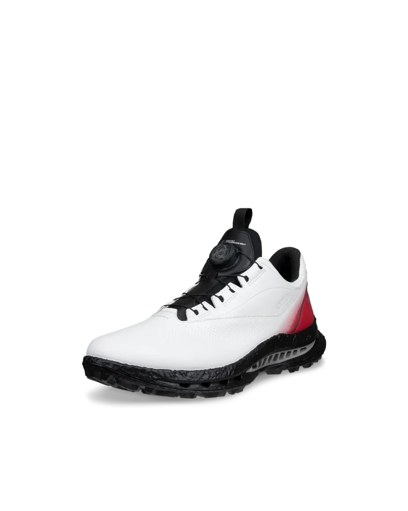 Giày Golf ECCO M Golf BIOM C5 BOA – Nam
