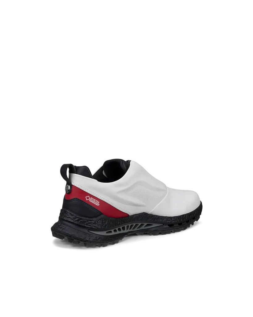 Giày Golf ECCO M Golf BIOM C5 BOA – Nam