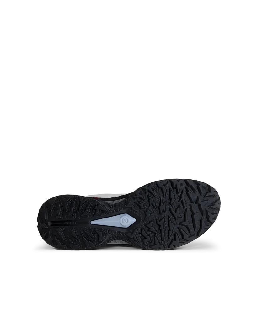 Giày Golf ECCO M Golf BIOM C5 BOA – Nam